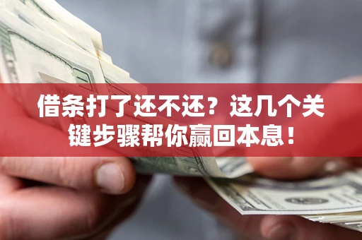 武汉借条打了还不还？这几个关键步骤帮你赢回本息！
