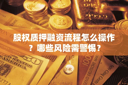武汉股权质押融资流程怎么操作？哪些风险需警惕？