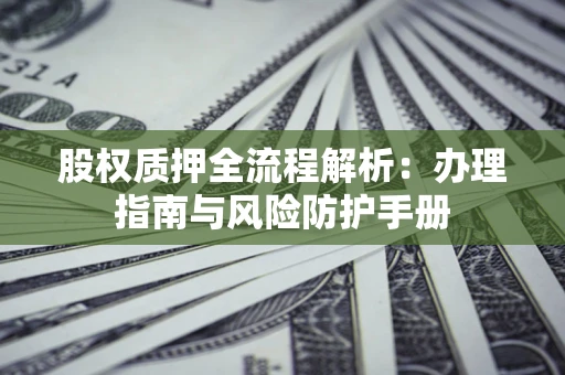 武汉股权质押全流程解析：办理指南与风险防护手册