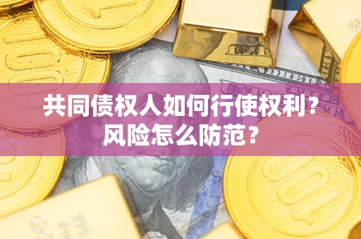 武汉共同债权人如何行使权利？风险怎么防范？