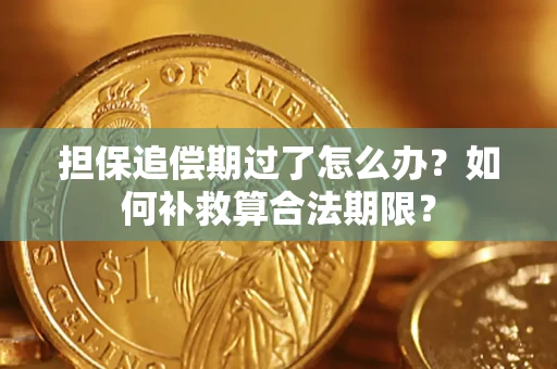 武汉担保追偿期过了怎么办？如何补救算合法期限？