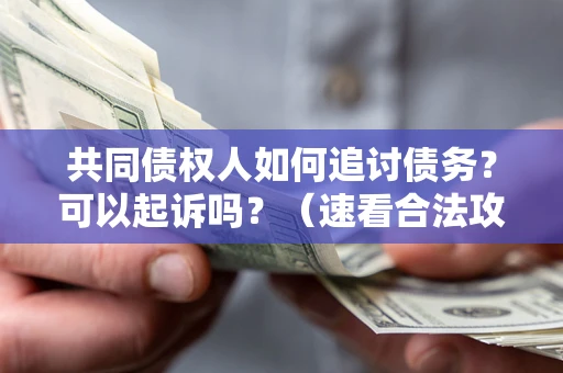 武汉共同债权人如何追讨债务？可以起诉吗？（速看合法攻略）