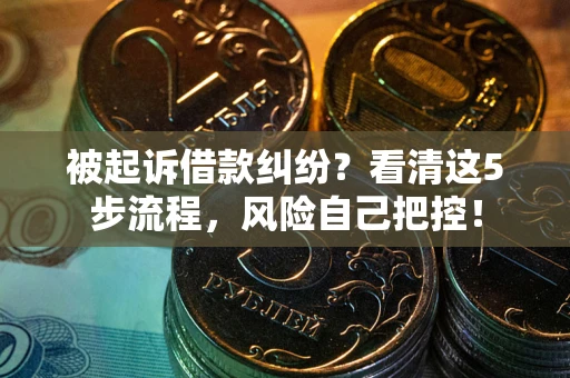 武汉被起诉借款纠纷？看清这5步流程，风险自己把控！