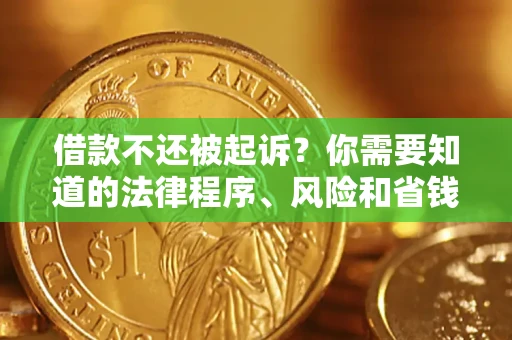 武汉借款不还被起诉？你需要知道的法律程序、风险和省钱技巧