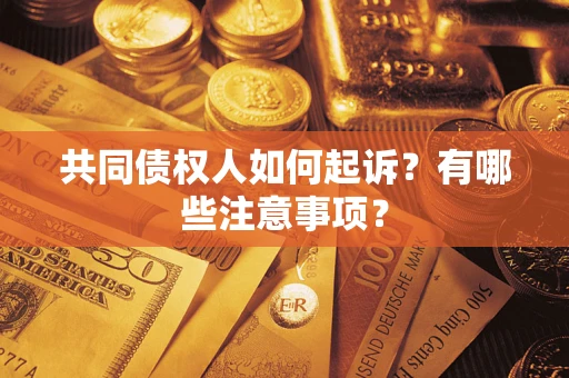 武汉共同债权人如何起诉？有哪些注意事项？